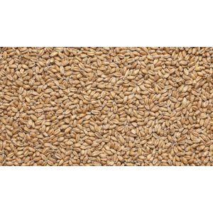 Солод пшеничный 1 кг. Курск